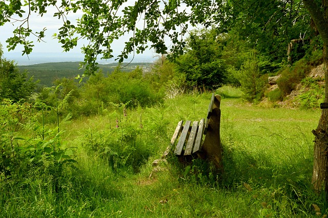 教练图赫尔 教练图赫尔