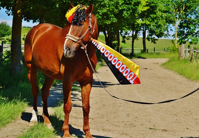 的掌控力 的掌控力