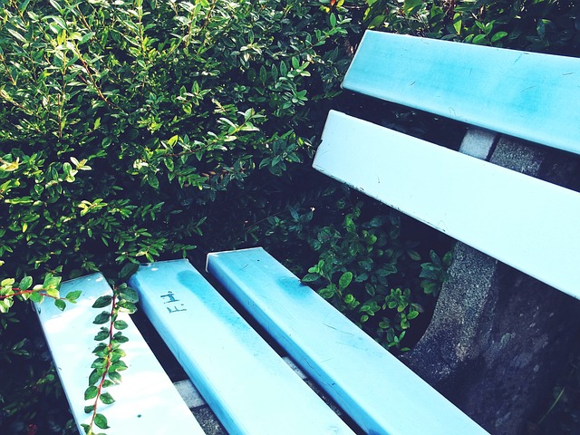 样表现出色 样表现出色