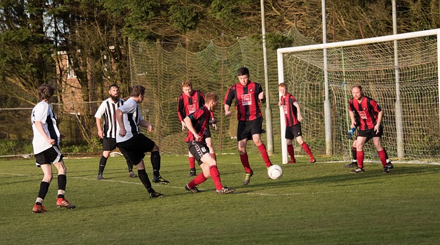 能够与队友 能够与队友