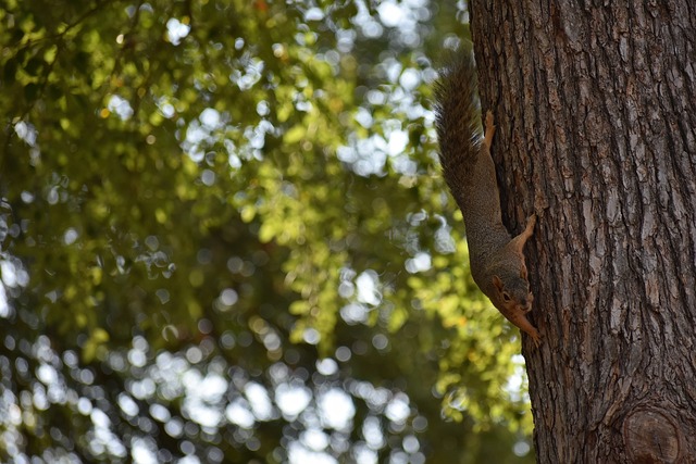 开场合多次 开场合多次