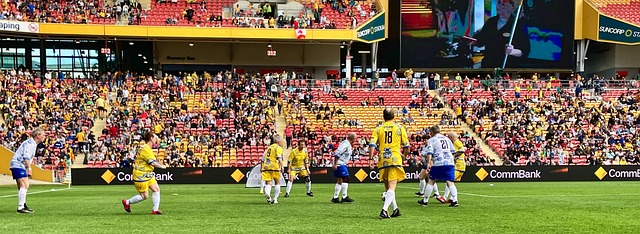 赢得了当年 赢得了当年