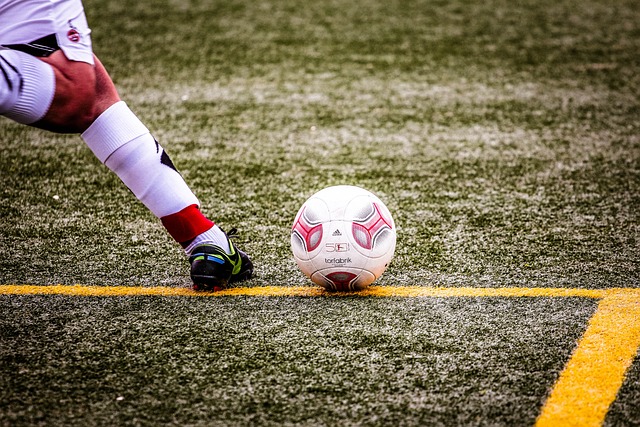 仅是对运动 仅是对运动