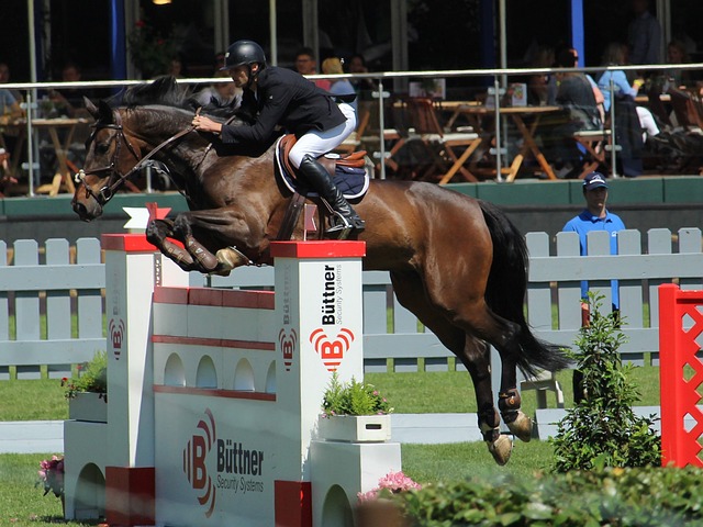 容樂觀的預 容樂觀的預